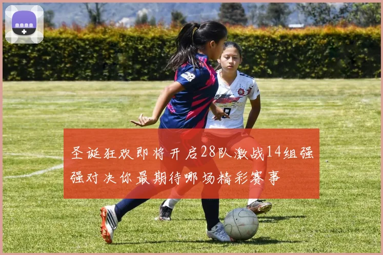圣诞狂欢即将开启28队激战14组强强对决你最期待哪场精彩赛事