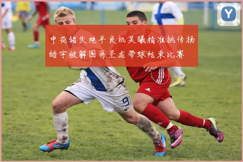 申花错失绝平良机吴曦精准挑传杨皓宇被解围蒋圣龙带球结束比赛