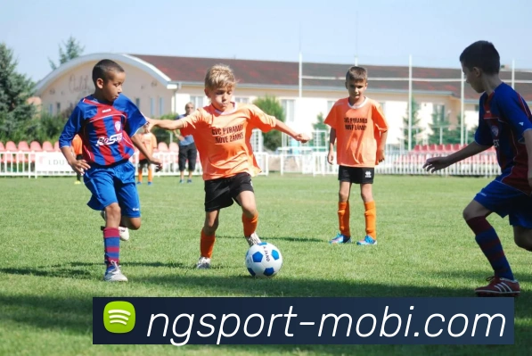 南宫体育平台生态图